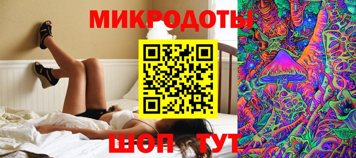 Алейск  Псилоцибиновые грибы Psilocybine cubensis  Вход с VPN 